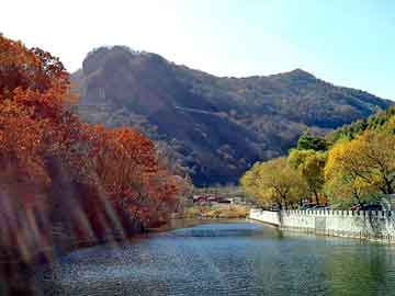 武大郎烧饼加盟，丽婷野葛根胶囊效果